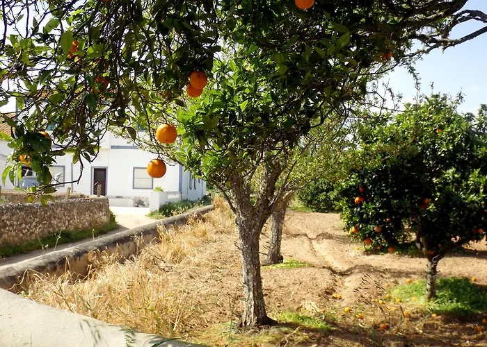 Casas Do Pomar