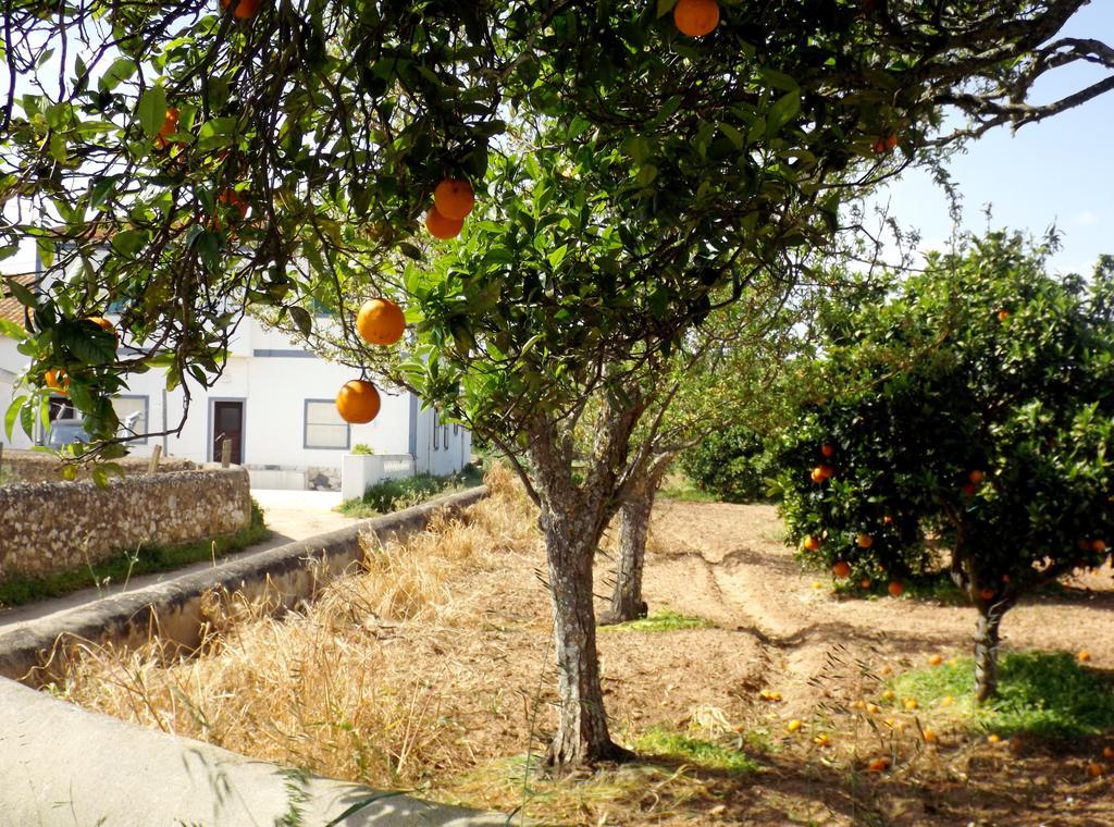 Holiday home Casas Do Pomar Lagos