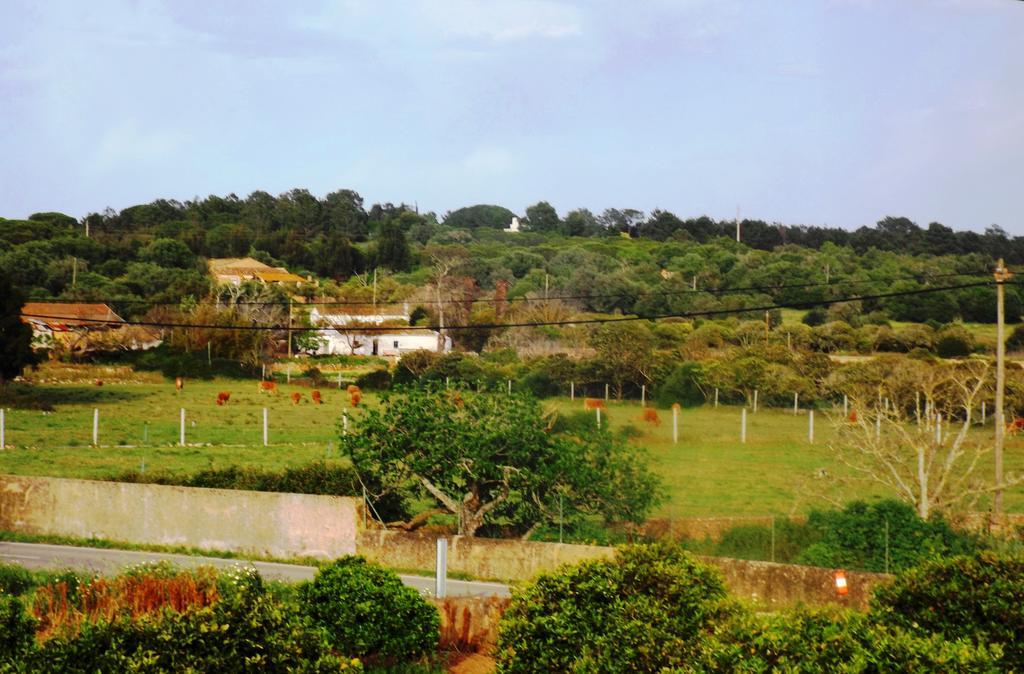 Casas Do Pomar *